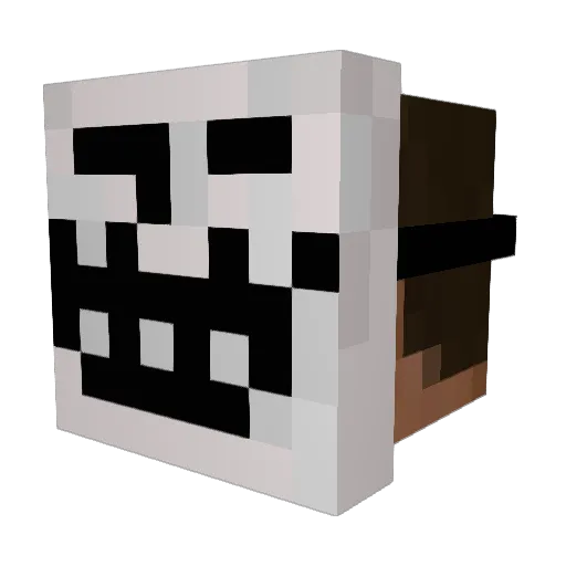 ZgrigBaw Minecraft avatar head, 3D render