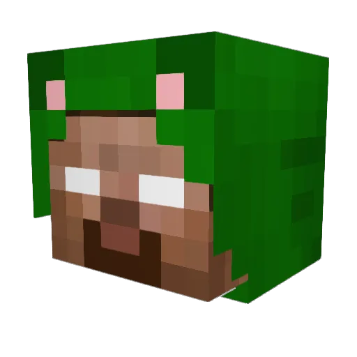 Zhamzi Minecraft avatar head, 3D render