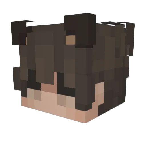 ZhanTvv Minecraft avatar head, 3D render