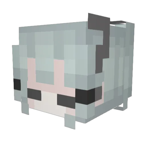 ZhaoHaha6 Minecraft avatar head, 3D render