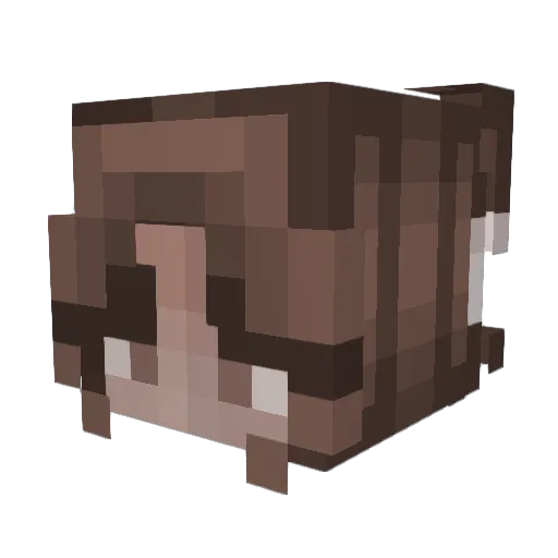 Zhaviav Minecraft avatar head, 3D render