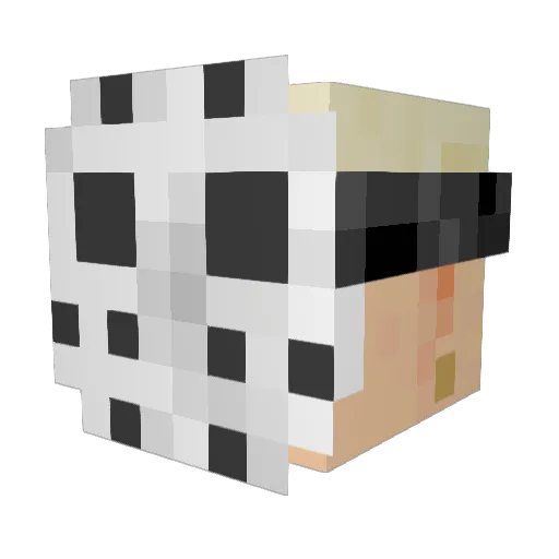 Zheidy Minecraft avatar head, 3D render