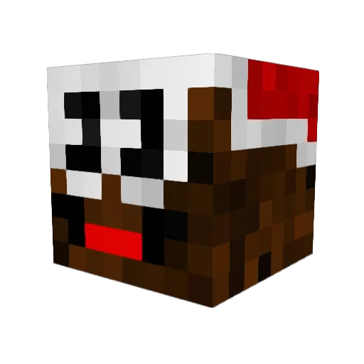 Zhelda Minecraft avatar head, 3D render