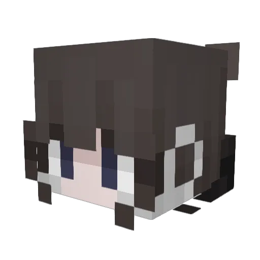 Zhen_energy Minecraft avatar head, 3D render