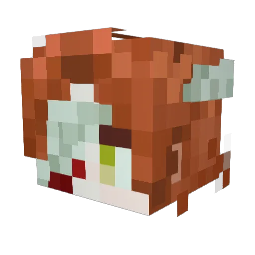 Zheng__Long Minecraft avatar head, 3D render