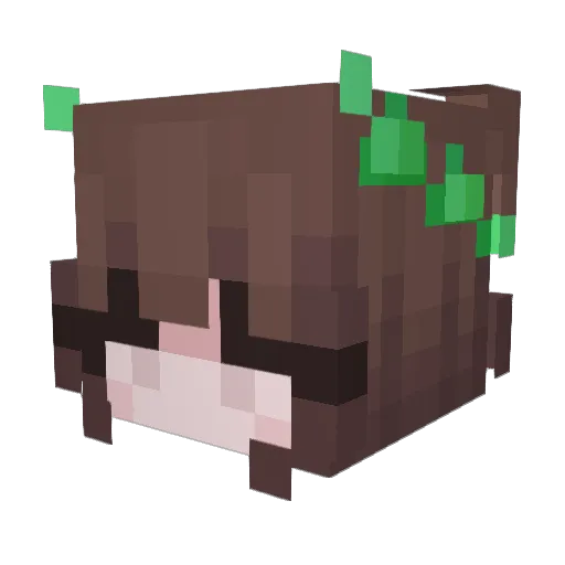 Zhengge Minecraft avatar head, 3D render