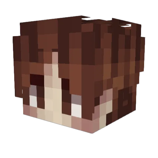 Zherka_ Minecraft avatar head, 3D render