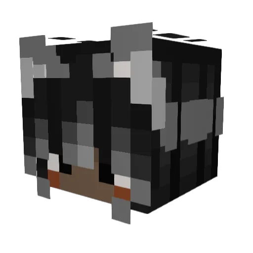 Zhexen Minecraft avatar head, 3D render