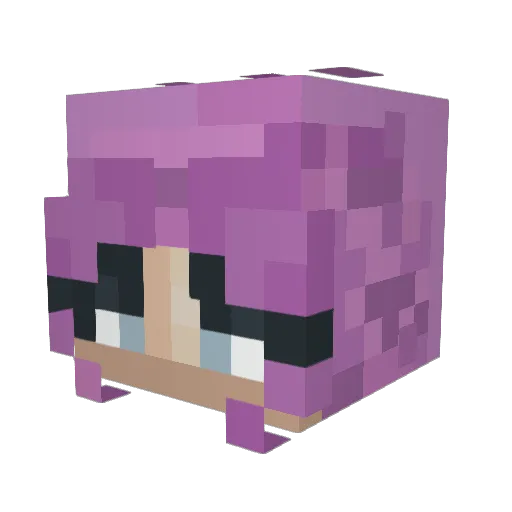 Zhifon86 Minecraft avatar head, 3D render