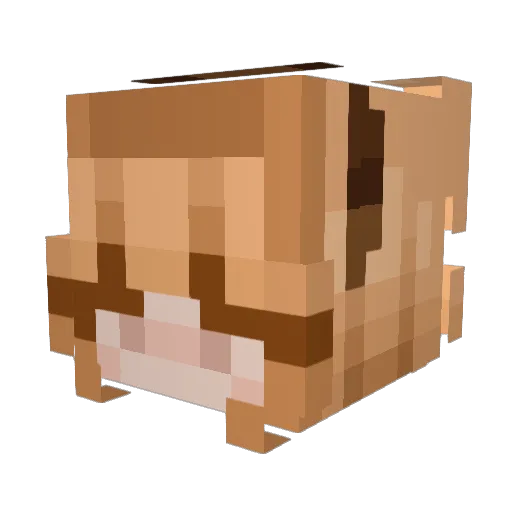 Zhisper Minecraft avatar head, 3D render