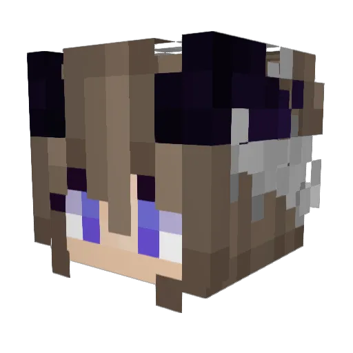 Zhong_IN Minecraft avatar head, 3D render