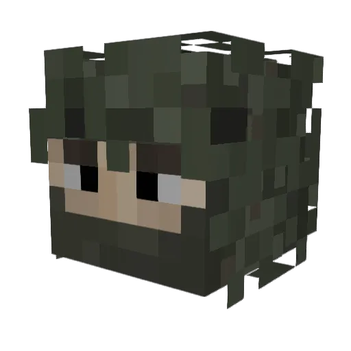 Zhuaric Minecraft avatar head, 3D render