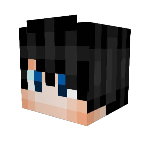 Zhy11313 Minecraft avatar head, 3D render