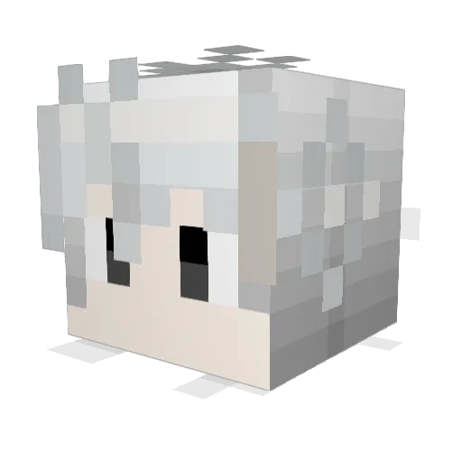 Zi_guo Minecraft avatar head, 3D render