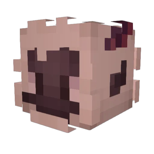 ZiaTheDestructor Minecraft avatar head, 3D render