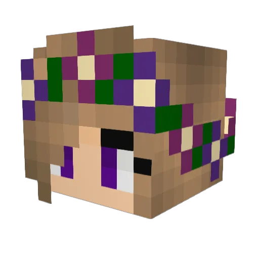Ziakelf Minecraft avatar head, 3D render