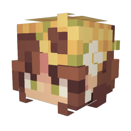Zialy523 Minecraft avatar head, 3D render