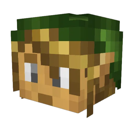 Ziao Minecraft avatar head, 3D render