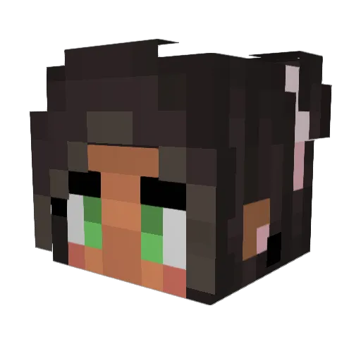 ZicaKiller Minecraft avatar head, 3D render