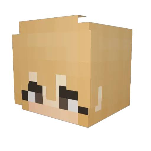 Zicgum Minecraft avatar head, 3D render