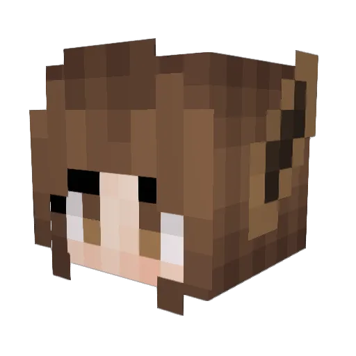 Zicky12 Minecraft avatar head, 3D render