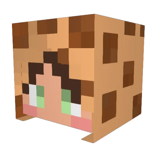 Zicookiiee Minecraft avatar head, 3D render