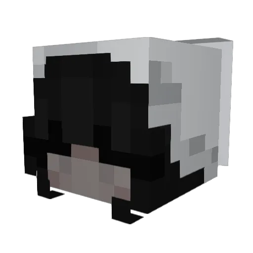 ZidarSytemDown76 Minecraft avatar head, 3D render