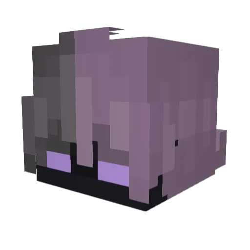 Zidro_X1 Minecraft avatar head, 3D render