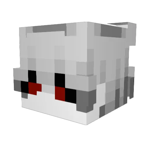 ZidysCZPLAYER Minecraft avatar head, 3D render