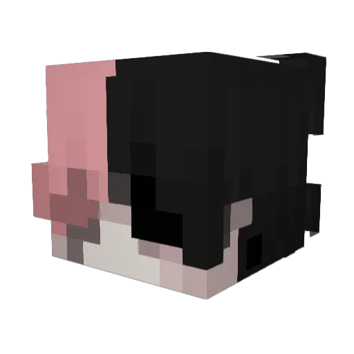 Minecraft-Avatar von Zidyss: Kopf als 3D-Render