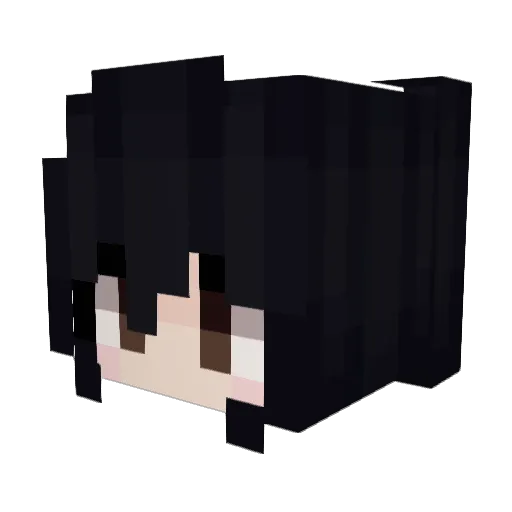 Ziec Minecraft avatar head, 3D render