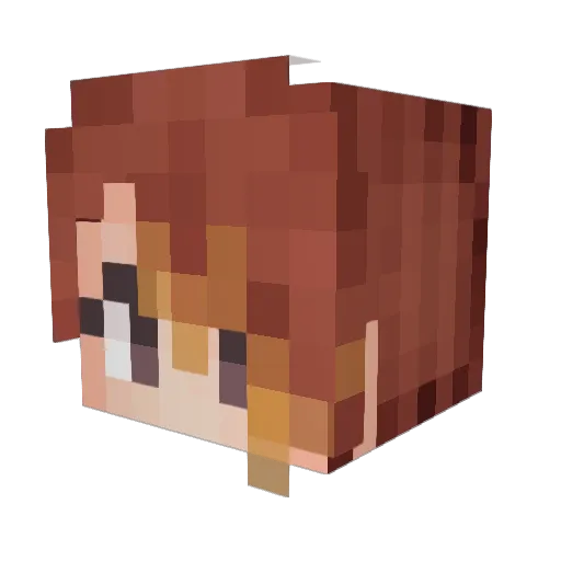 Zieg815 Minecraft avatar head, 3D render