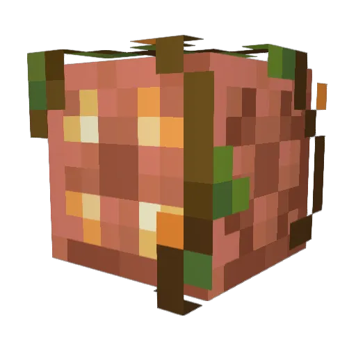 Zielen Minecraft avatar head, 3D render