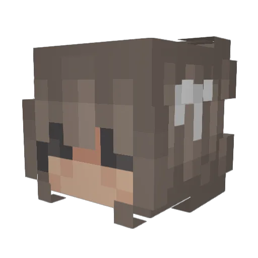 Zielle Minecraft avatar head, 3D render