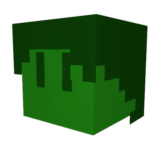 Zielony_Balonik Minecraft avatar head, 3D render