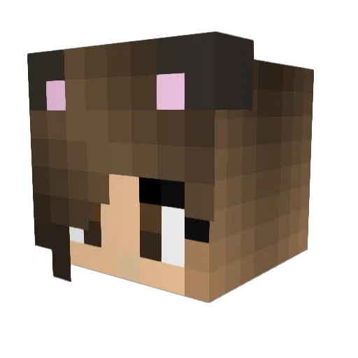 Ziemaan Minecraft avatar head, 3D render