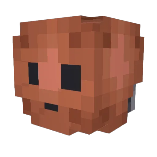 Ziffler1 Minecraft avatar head, 3D render