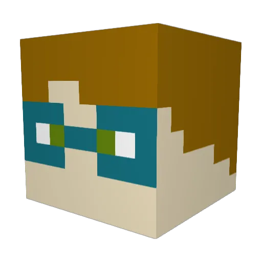ZigTheFlig Minecraft avatar head, 3D render