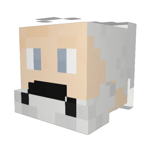Zigaredden Minecraft avatar head, 3D render