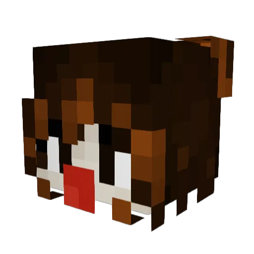Zigdogg420 Minecraft avatar head, 3D render