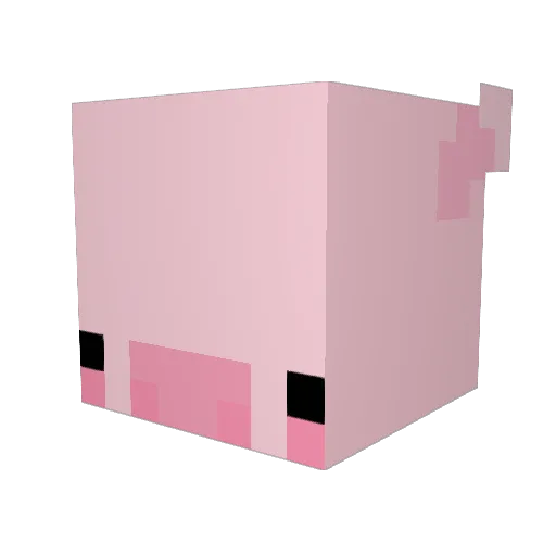 Ziggang Minecraft avatar head, 3D render