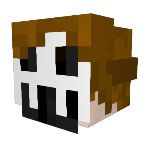 ZiggiGames Minecraft avatar head, 3D render