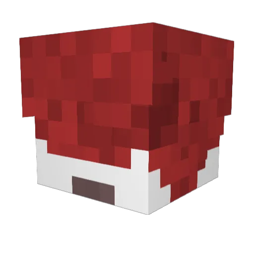 Ziggliphant Minecraft avatar head, 3D render