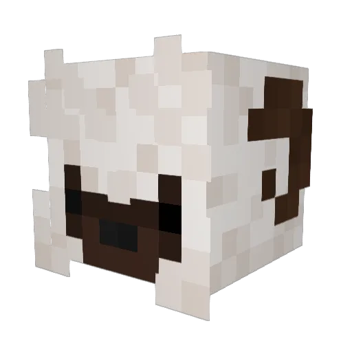 Ziggy0630 Minecraft avatar head, 3D render