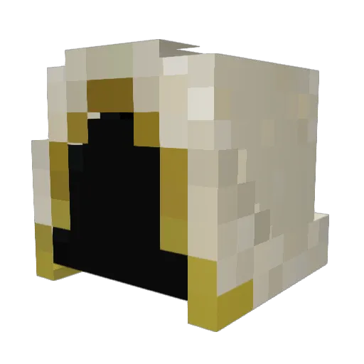 Ziggy9691 Minecraft avatar head, 3D render