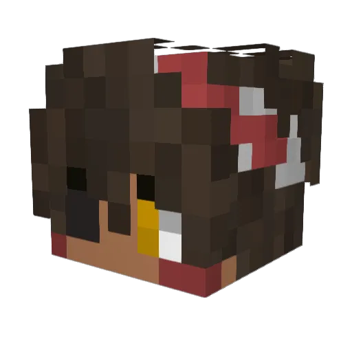 Ziggy_Flocka Minecraft avatar head, 3D render