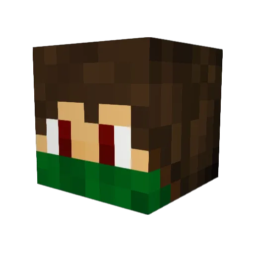 Zignis_ Minecraft avatar head, 3D render