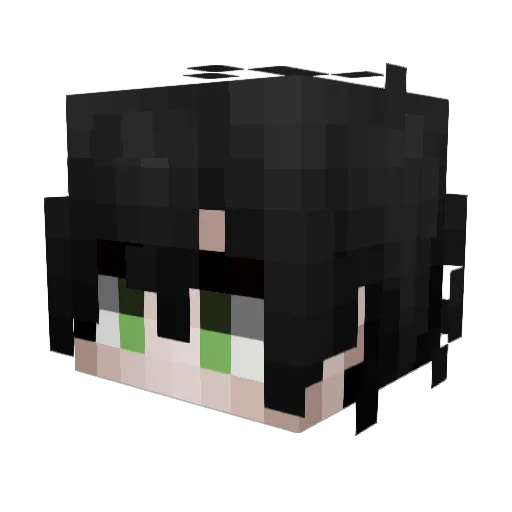 Zignorg Minecraft avatar head, 3D render