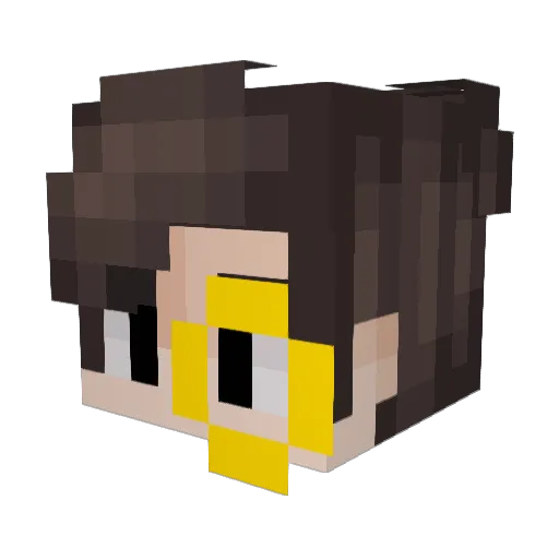 Zigtack Minecraft avatar head, 3D render