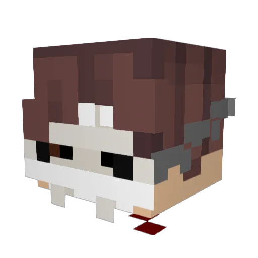 ZigurdT Minecraft avatar head, 3D render